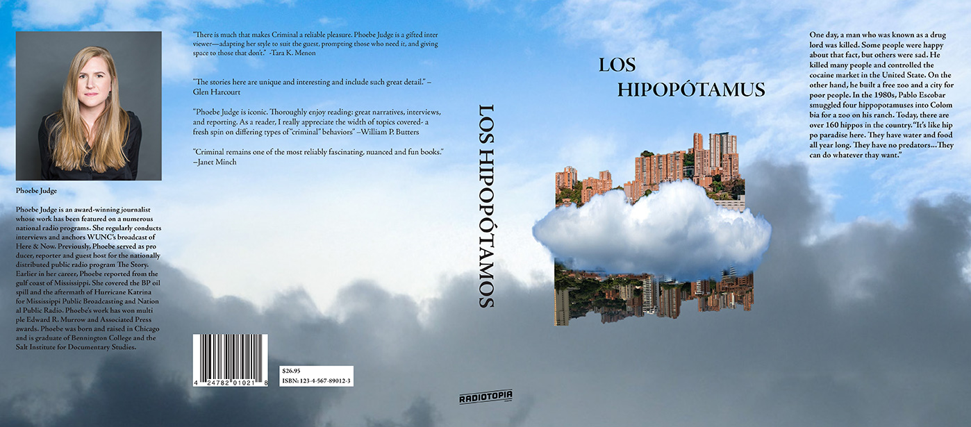 illuatration-in progress